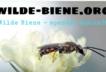 Wildbienen Häuschen – Töpfern Kreativ