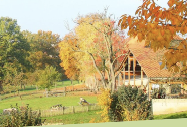 Das Bio-Familienfest